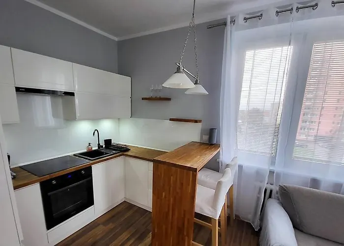 Ogrody * Wi-fi * Jezyce * 3 Km Center Apartmán *